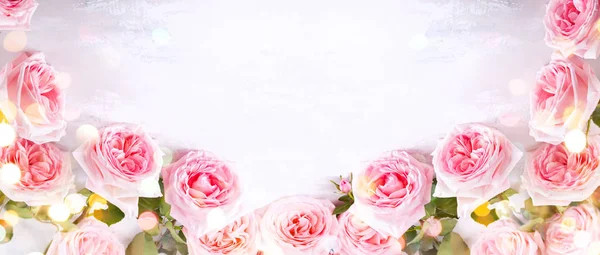 Beautiful pink roses flowers — Stock Photo, Image