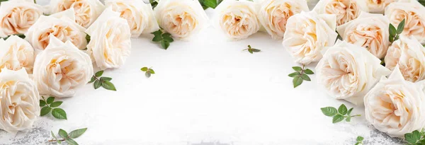 Vackra vita rosor blommor . — Stockfoto
