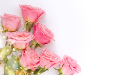 Güzel pembe güller