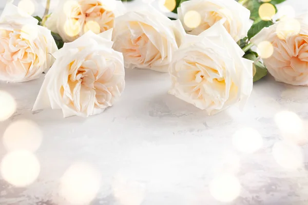 Beautiful white  roses flowers . — Stock Photo, Image