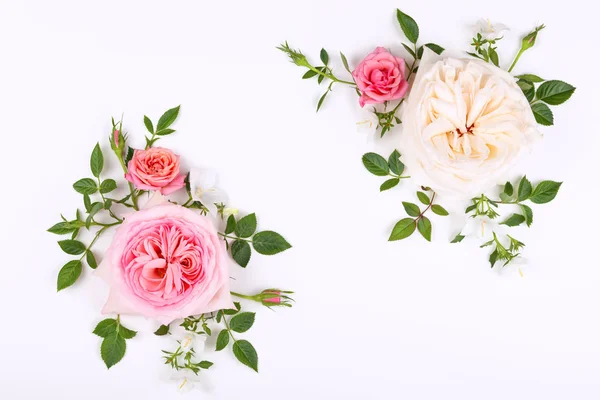 Lindas rosas rosa e branco flores com folhas — Fotografia de Stock