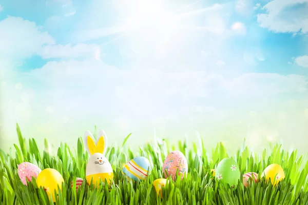 Easter eggs on meadow. Easter concept. — Stock Photo, Image