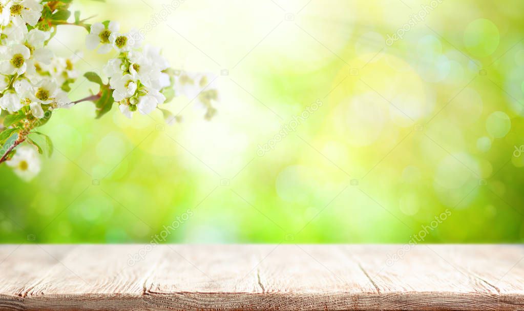 Wooden table and blurred green spring or summer background with 