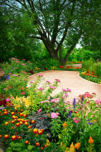 Hermoso Parque Verano Con Flores Florecientes Árboles Sendero — Foto de Stock