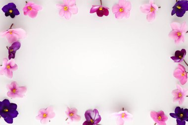 Beyaz arka planda yenilebilir menekşeli bahar ya da yaz çiçeği kompozisyonu. Düz konum, kopyalama alanı. Sağlıklı yaşam ve çiçek kavramı.