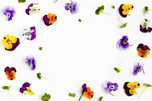 春や夏の花の組成物は 白い背景に食用パンジーとマイクログリーンと フラットレイアウト コピースペース 健康的なライフコンセプト — ストック写真