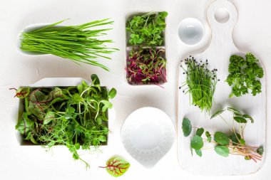 Farklı türde organik mikroçim filizleri. Vejetaryen, temiz ve sağlıklı beslenme konsepti. Evde tohum filizlenmesi.