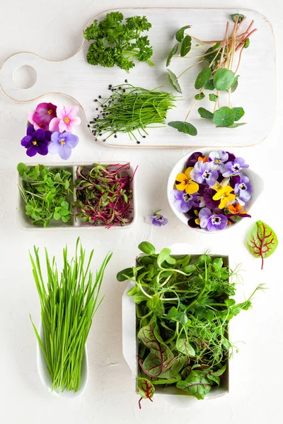 Verschiedene Arten Von Bio Mikrogemüse Sprießen Und Essbaren Blumen Vegetarisch — Stockfoto