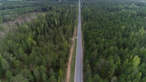 Lot nad drogą, nad lasem w lecie. Widok z lotu ptaka. — Wideo stockowe