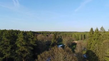 Uçuş bir orman içinde. Havadan görünümü.