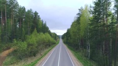 Uçuş yaz ormanda üzerinden yolun üzerinde. Havadan görünümü.