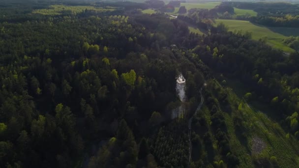 Flygning över en skog och en flod. Flygfoto. — Stockvideo