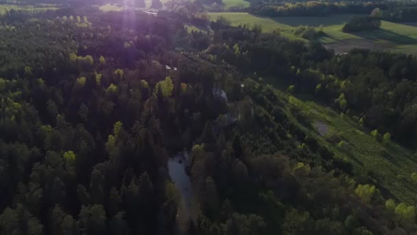 숲과 강 비행입니다. 공중 보기. — 비디오