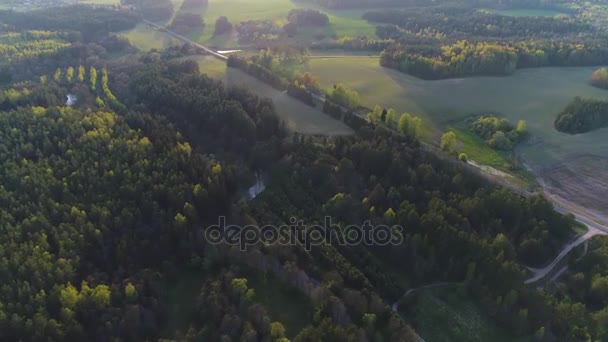 Flygning över en skog. Flygfoto. — Stockvideo