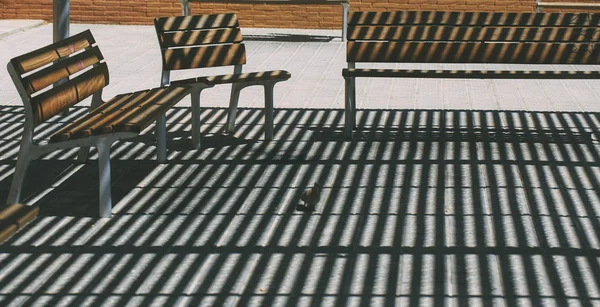 Bankje in de schaduw van het park — Stockfoto