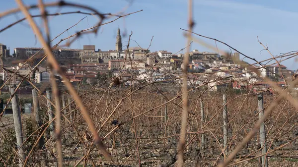 Vinho situado na espanha de la rioja — Fotografia de Stock