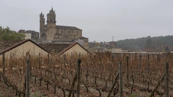 Wineyard розташовані в la rioja Іспанії — стокове фото