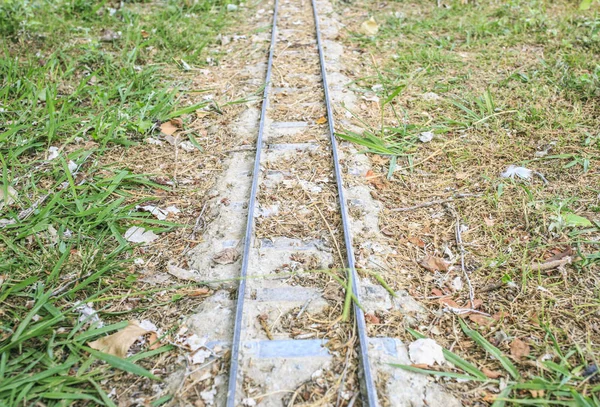Minyatür tren Park