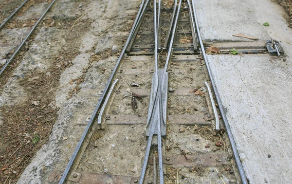 Миниатюрная железная дорога в парке — стоковое фото