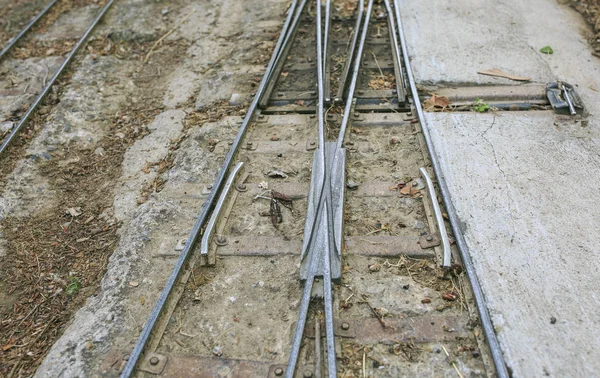 A Park Miniature railway témapark látogatását — Stock Fotó