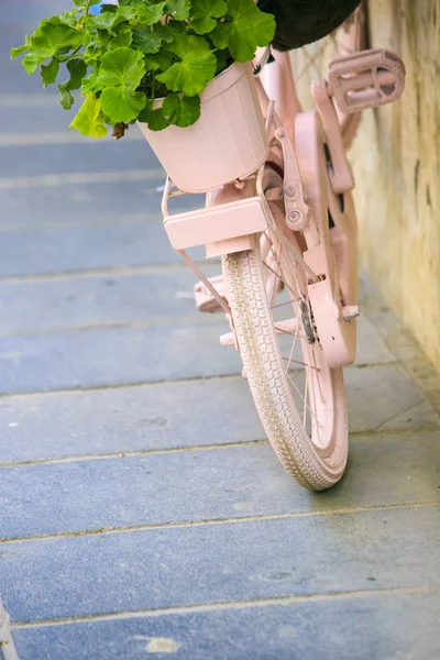 Rosafarbenes Fahrrad mit Blumenkorb — Stockfoto