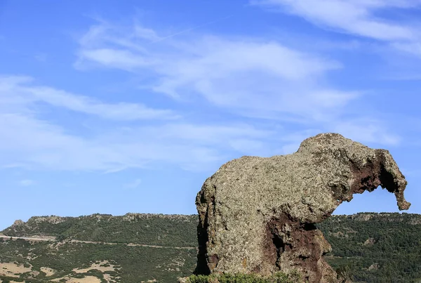 Rocha do elefante em Castelsardo, Sardenha — Fotografia de Stock