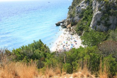 Sardunya oturtulmuş şaşırtıcı beach