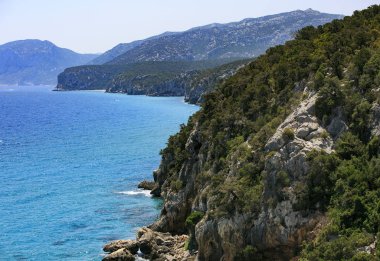 Sardunya oturtulmuş şaşırtıcı beach