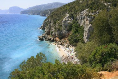 Sardunya oturtulmuş şaşırtıcı beach