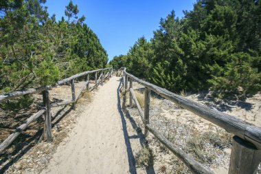 Plaja giderken ahşap çit