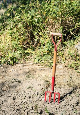 Kırmızı hasat yetiştirmek için bir arazi