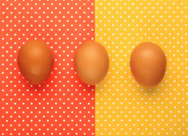 Yumurta ile tepesinde renkli arka plan