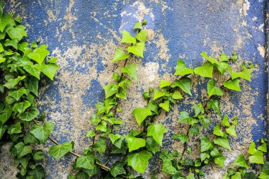 Dokulu duvar parçası