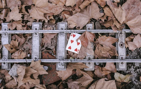 Jouer aux cartes dans la rue — Photo