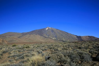 Tenerife Teide Dağı. Kanarya Adaları