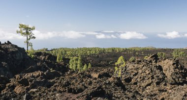 Tenerife Teide Dağı. Kanarya Adaları