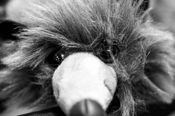 Rosto Detalhe Mouse Muppet — Fotografia de Stock