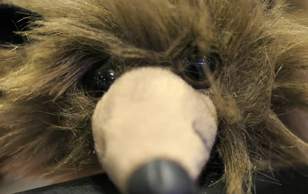 Muppet fare detayYüzü