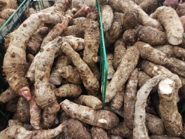 pile or mound of brown malanga root vegetables in market