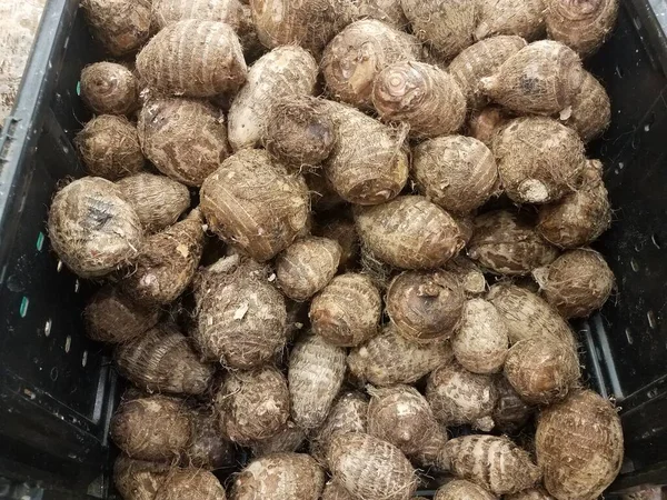 Pile or mound of brown taro root vegetables in market — Stockfoto