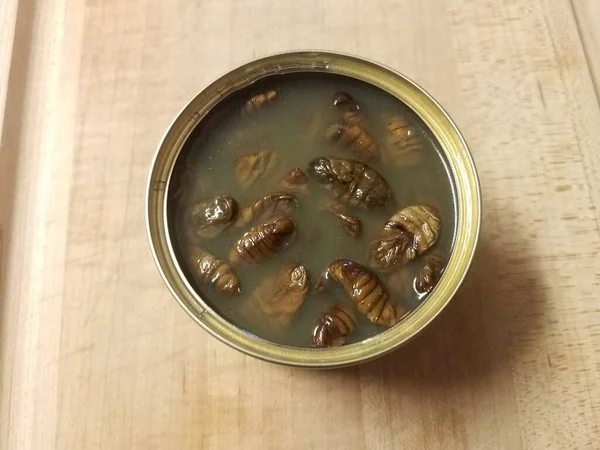 Larva de bicho-da-seda marrom em lata de metal na placa de corte de madeira — Fotografia de Stock