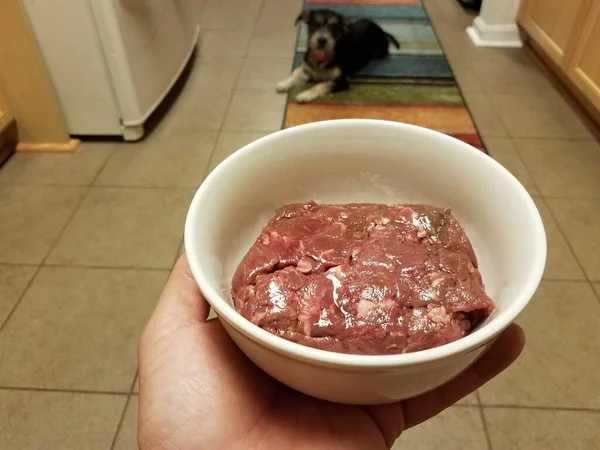 Рука держит миску сырого мяса стейка на кухне с собакой — стоковое фото