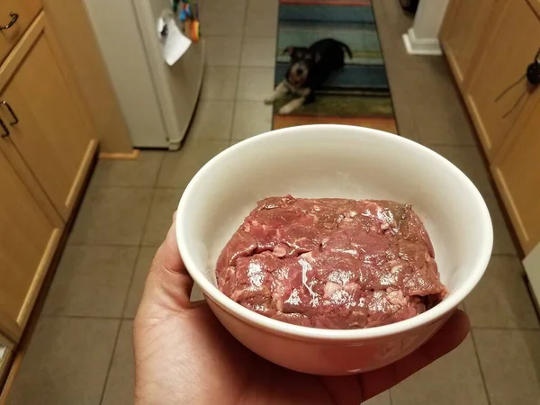 Hand holding bowl of raw meat with dog — Fotografia de Stock