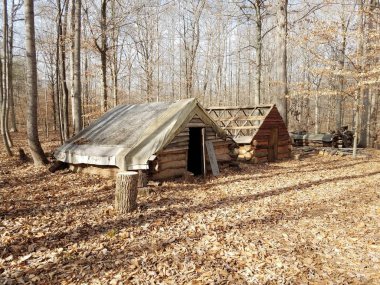 Ormandaki ya da ormandaki ahşap kulübe ya da yapı