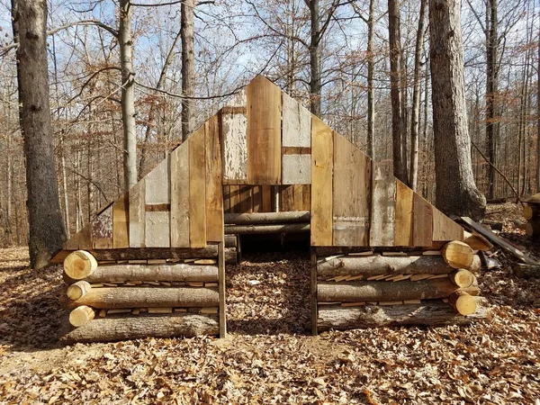 wood or log cabin or structure in the forest or woods