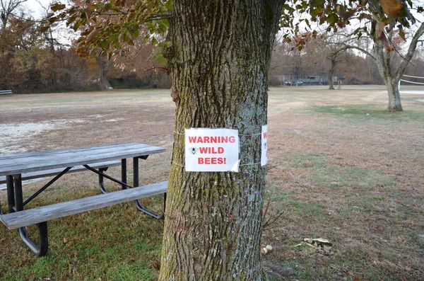 Advertencia abejas silvestres signo en el tronco del árbol con mesa — Foto de Stock