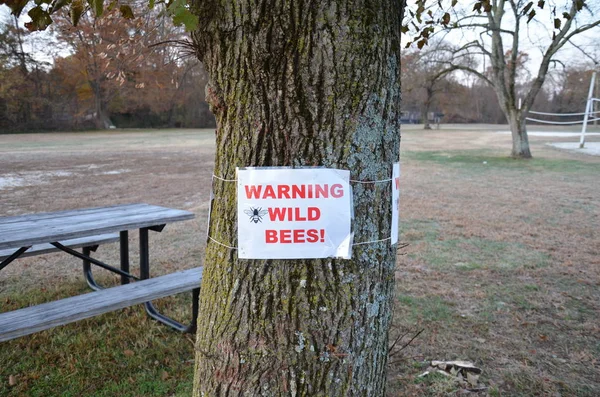 Advertencia abejas silvestres signo en el tronco del árbol con mesa — Foto de Stock