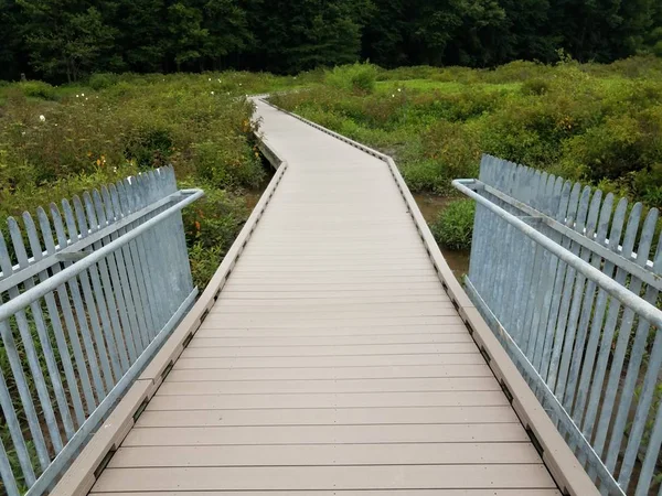 Wood boardwalk with metal fence and water and green plants — Stok Foto