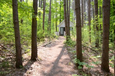 Ormandaki ya da ormandaki patikalı beyaz binalar ve ağaçlar