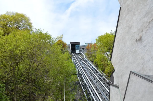 Lutningsbana på kulle i Quebec Kanada och träd — Stockfoto